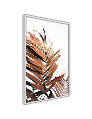 Poster  Copper Palm